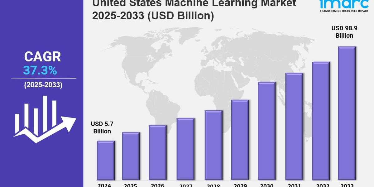 United States Machine Learning Market Growth Forecast and Analysis 2025‑2033