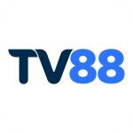 tv88vina01 com