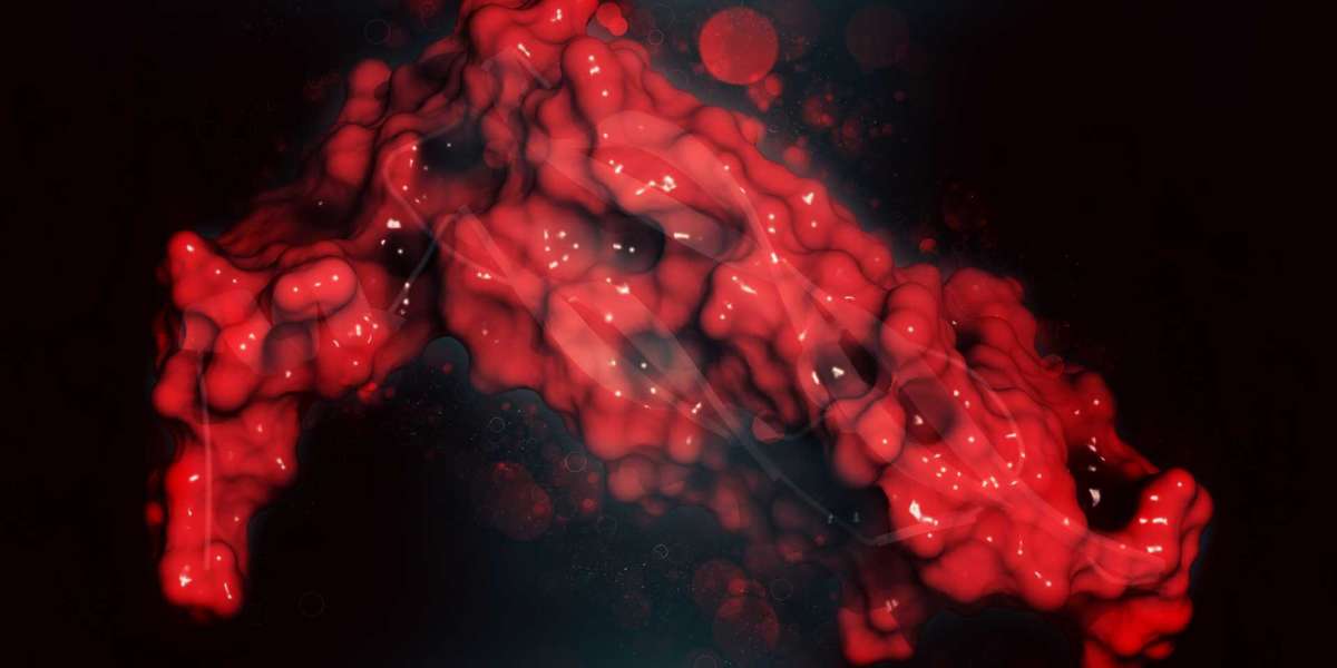 Advancing Therapies in Cancer and Eye Disorders: VEGF Inhibitors