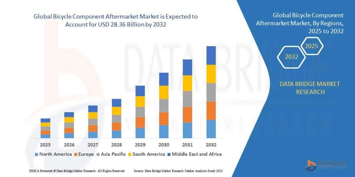 Bicycle Component After Market : Insights, Key Players, and Growth Analysis 2025 –2032