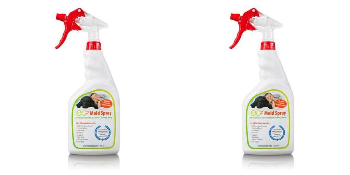 What to Look for in a Safe and Effective Mold Spray