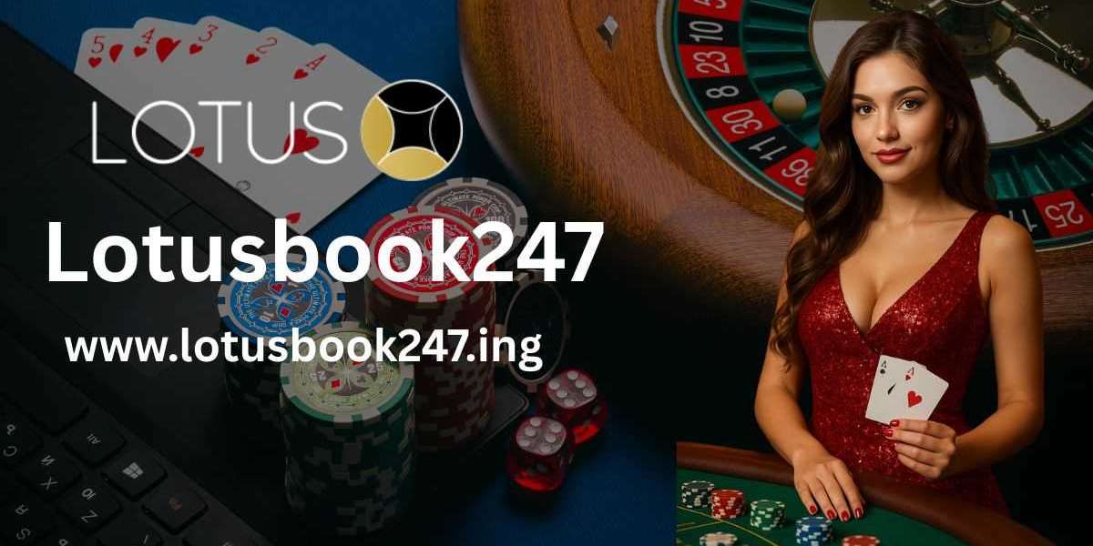 Top Reasons Why Users Choose the Lotusbook247 Platform