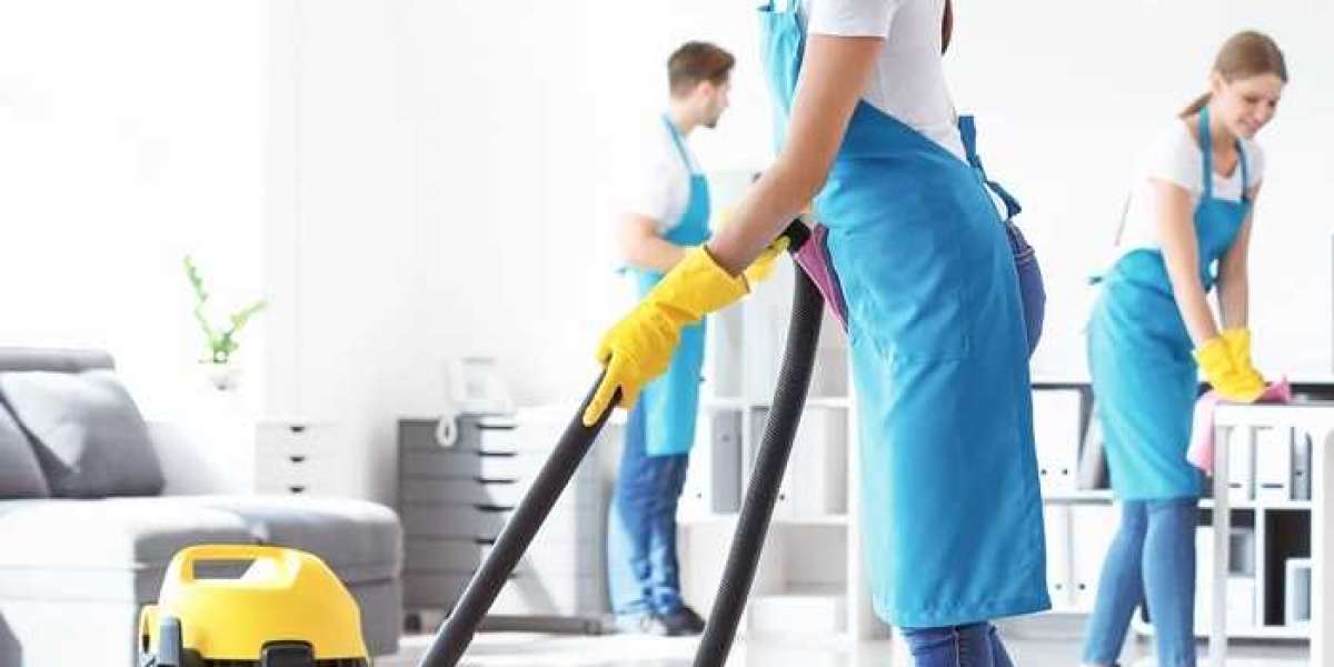 Professional Carpet, Tile & Window Cleaning Services in Adelaide