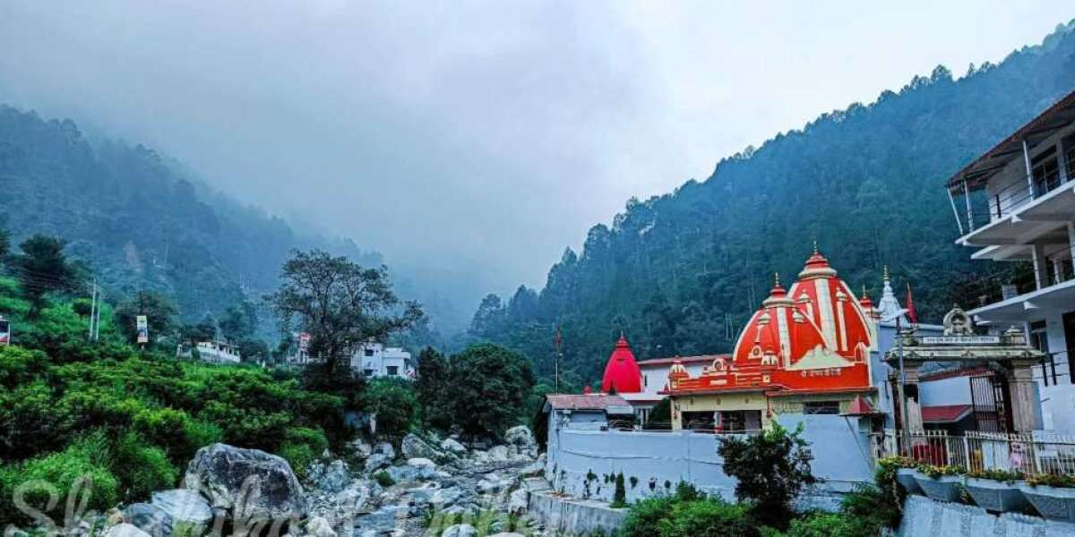 Pantnagar to Kainchi Dham Taxi