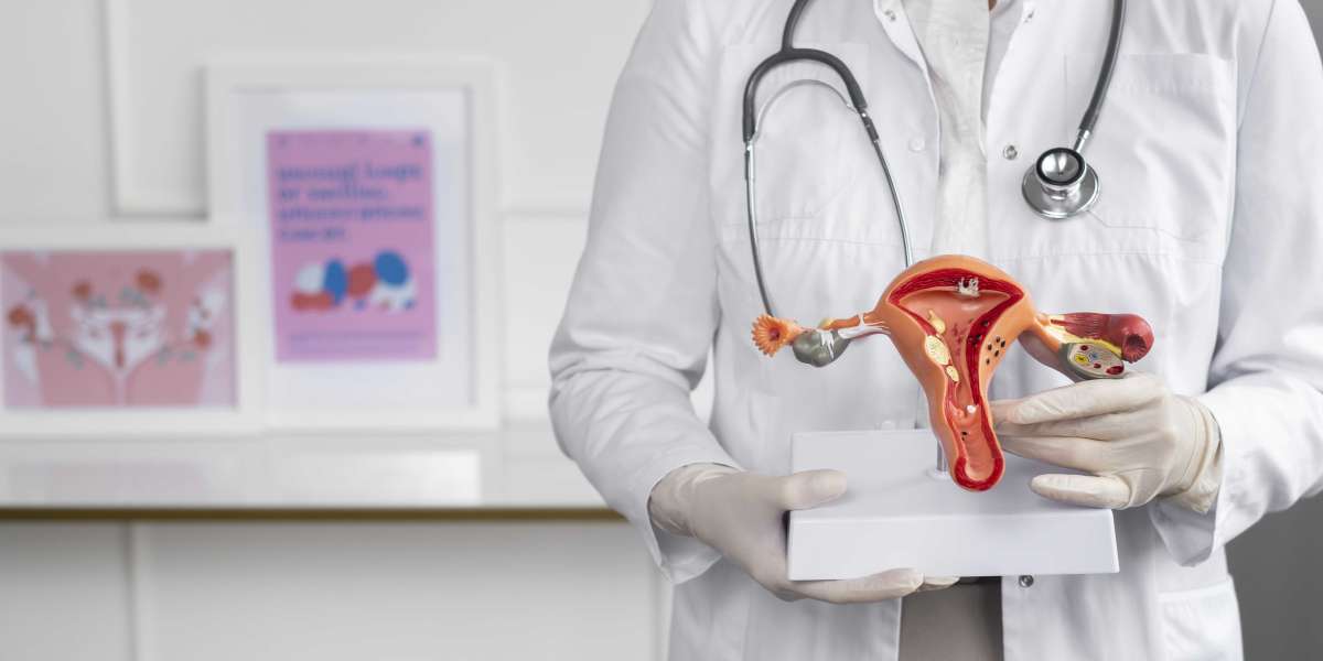 Widespread Medical Reasons That Call for Hysterectomy