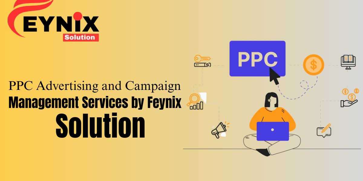 PPC Advertising and Campaign Management Services by Feynix Solution