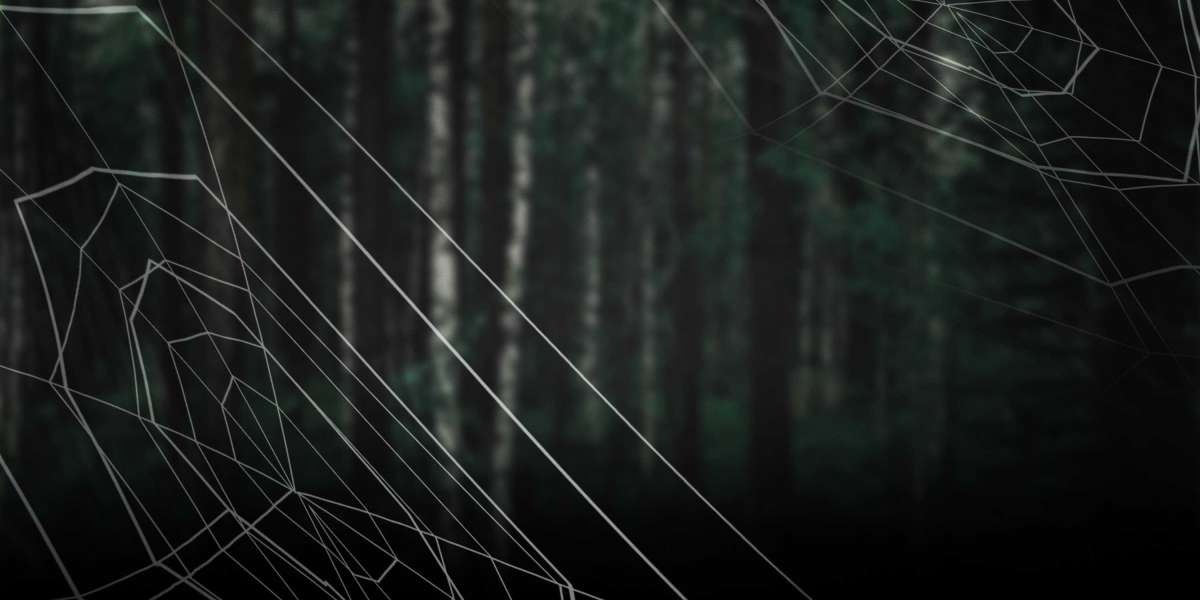 Executive Jet Charter: An In-Depth Overview