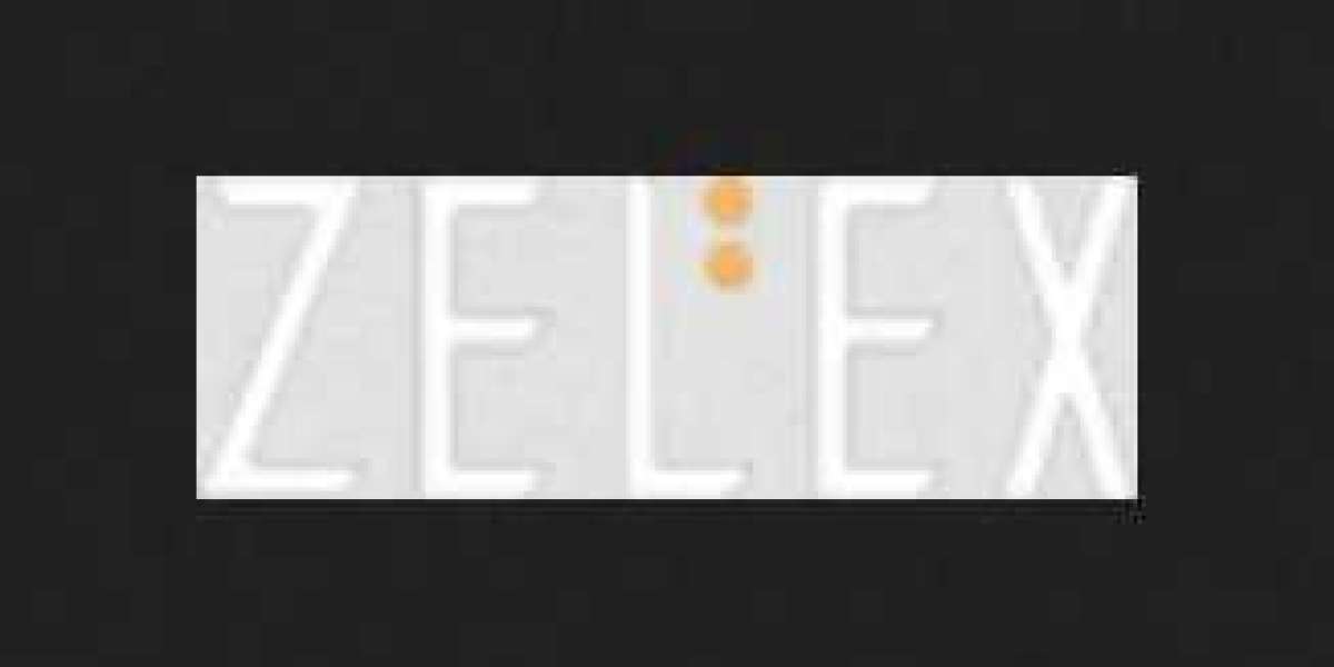 Contact ZELEX: Your Direct Path to Answers and Support