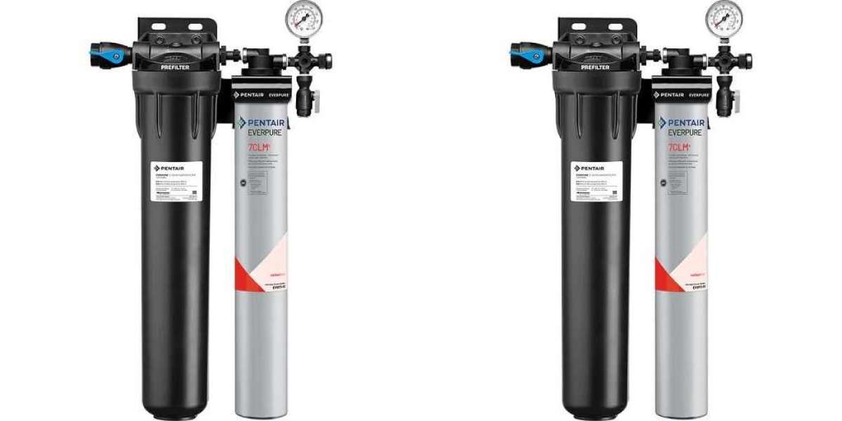 The Technology Behind Everpure Water Filtration Systems