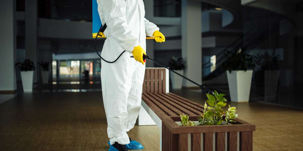 Pest Control Company Abu Dhabi: Complete Guide to Services and Costs