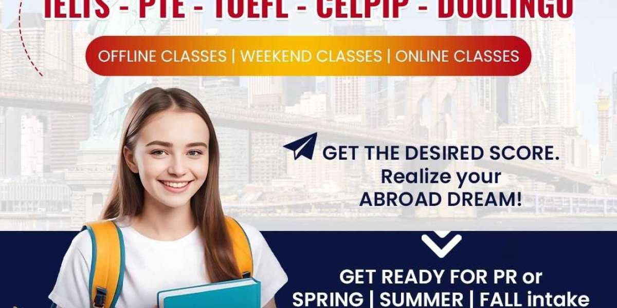 Marigold Education – Trusted Study in USA Consultants in Ahmedabad