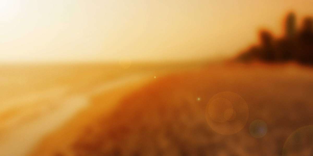 Exploring the Sugar Baby Phenomenon: A Examine of Sugar Baby Websites In Ontario