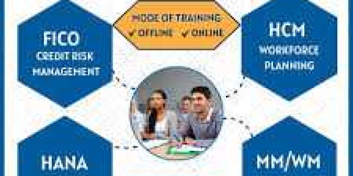 Best S.A.P FICO institute in Hyderabad