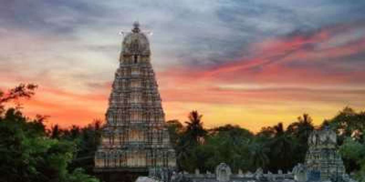 Chennai to cmc Vellore Taxi Fare