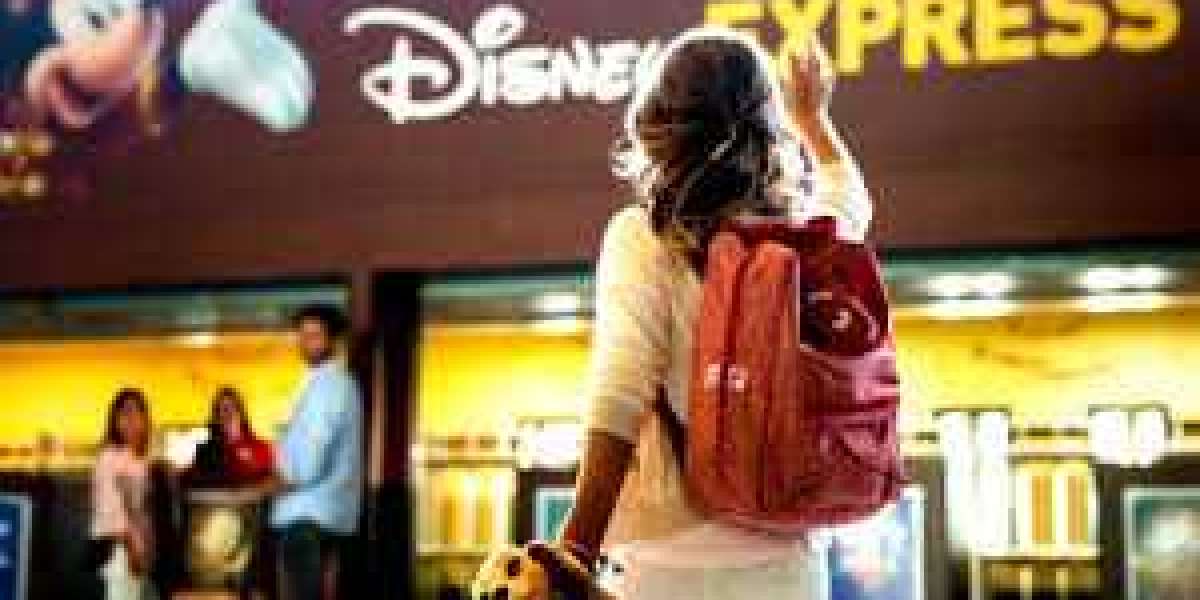 Private Disneyland Paris CDG Transfers for a Luxurious Journey