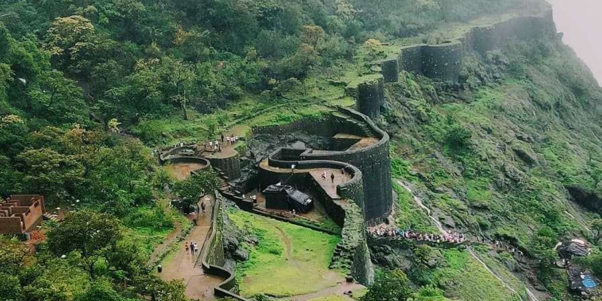 Raipur Car Rental