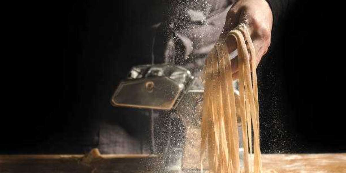 Haiou Offers Your Ideal Pasta Maker Factory Experience