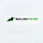 Bullish Payer Ltd