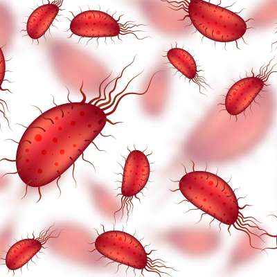 Explore Trusted Access & Learn Where to Buy Ivermectin in Canada Profile Picture