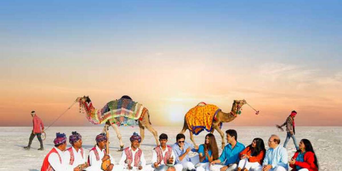 The Ultimate Guide to Kutch Desert Wildlife Sanctuary