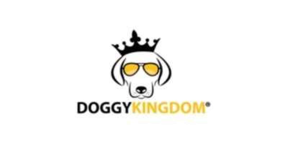 Harnesses, Collars & Leashes: Essential Tools for a Happy and Healthy Dog