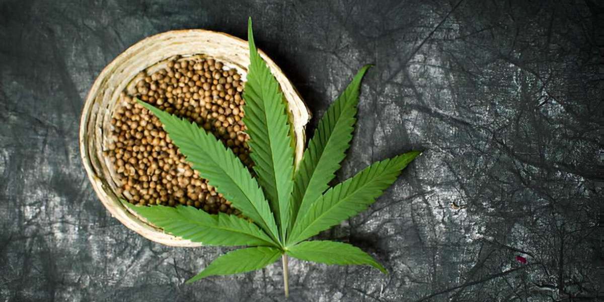Buy Cannabis Seeds with Confidence at The Clone Conservatory