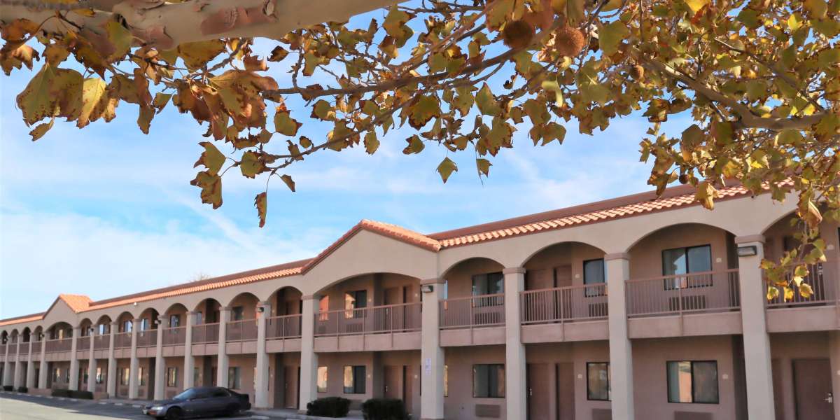 A Practical Guide to Choosing the Best Hotel Near Joshua Tree National Park