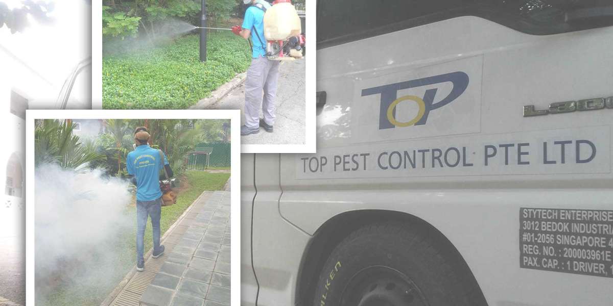 Pest Control Singapore | Trusted Local Experts