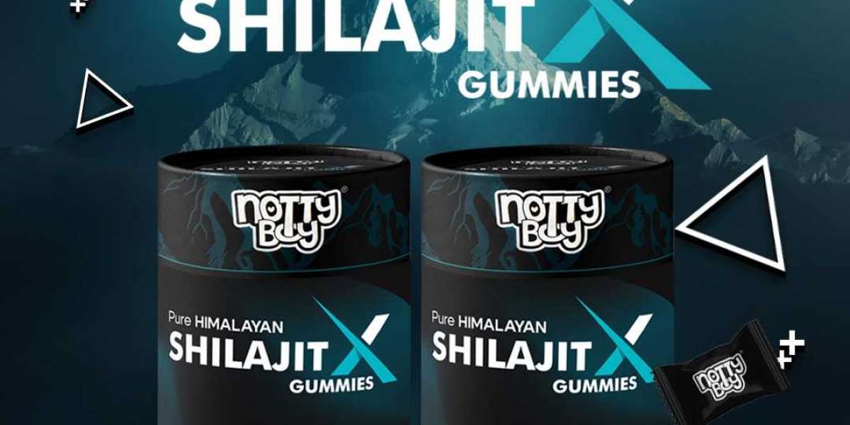 Why Nottyboy Himalayan Shilajit Gummies Are the New Health Trend for Men