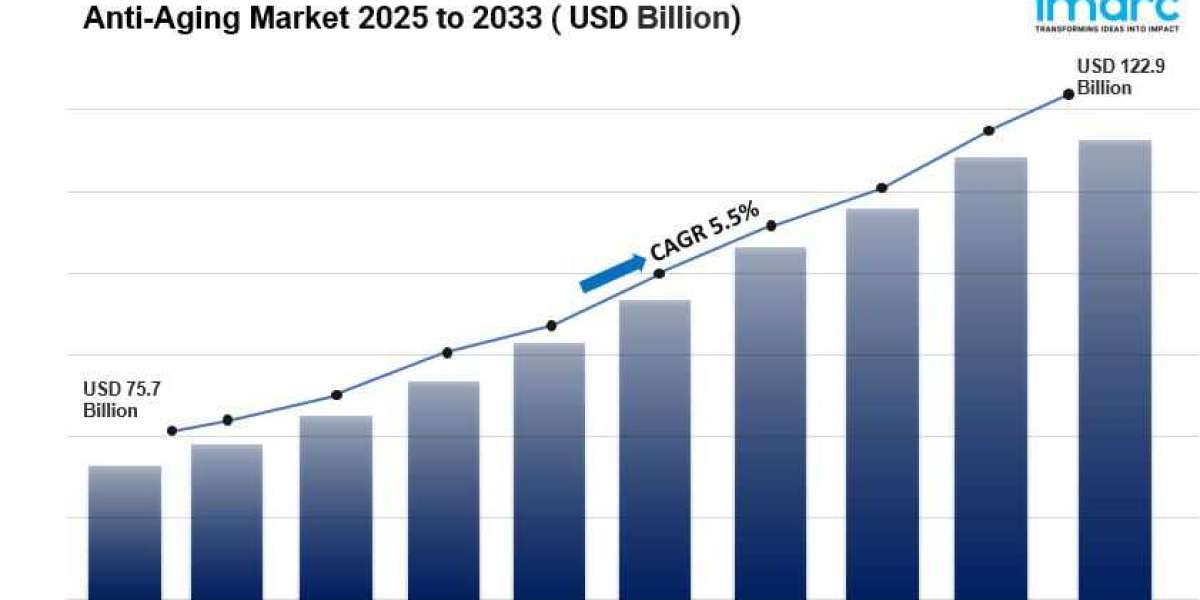 Anti-Aging Market Size, Share, Trends And Growth Report 2025-2033