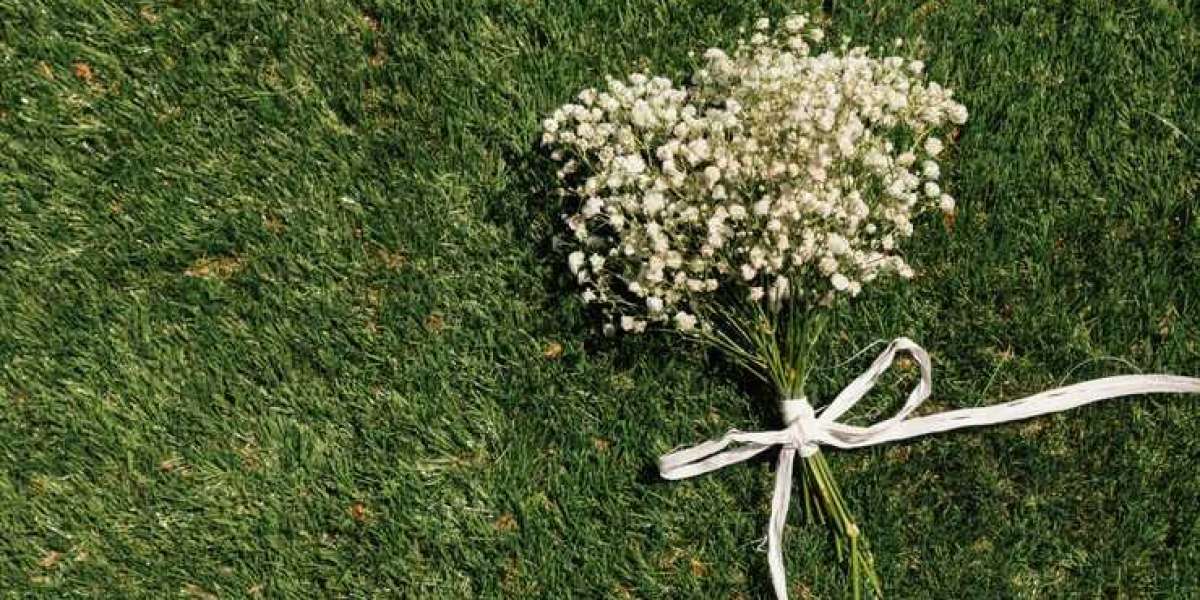 Fresh Baby’s Breath in Bulk: Best Options for Event Planners