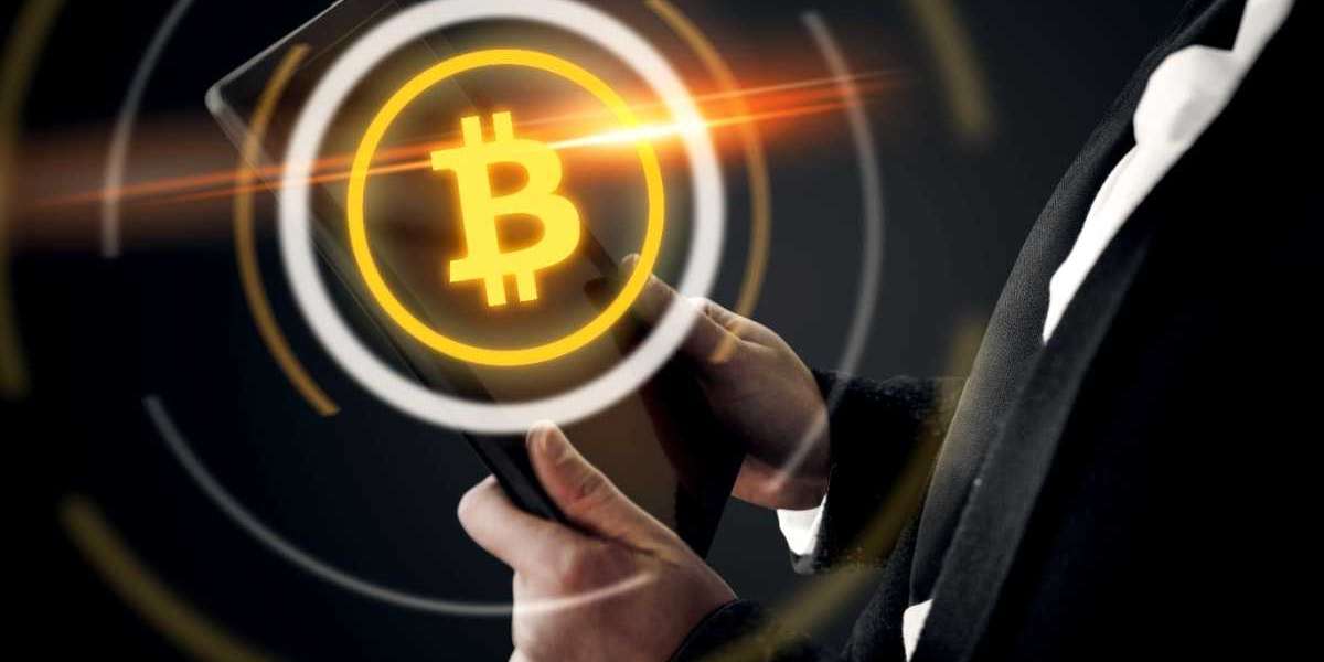 Start Your Profitable Journey with Findorex