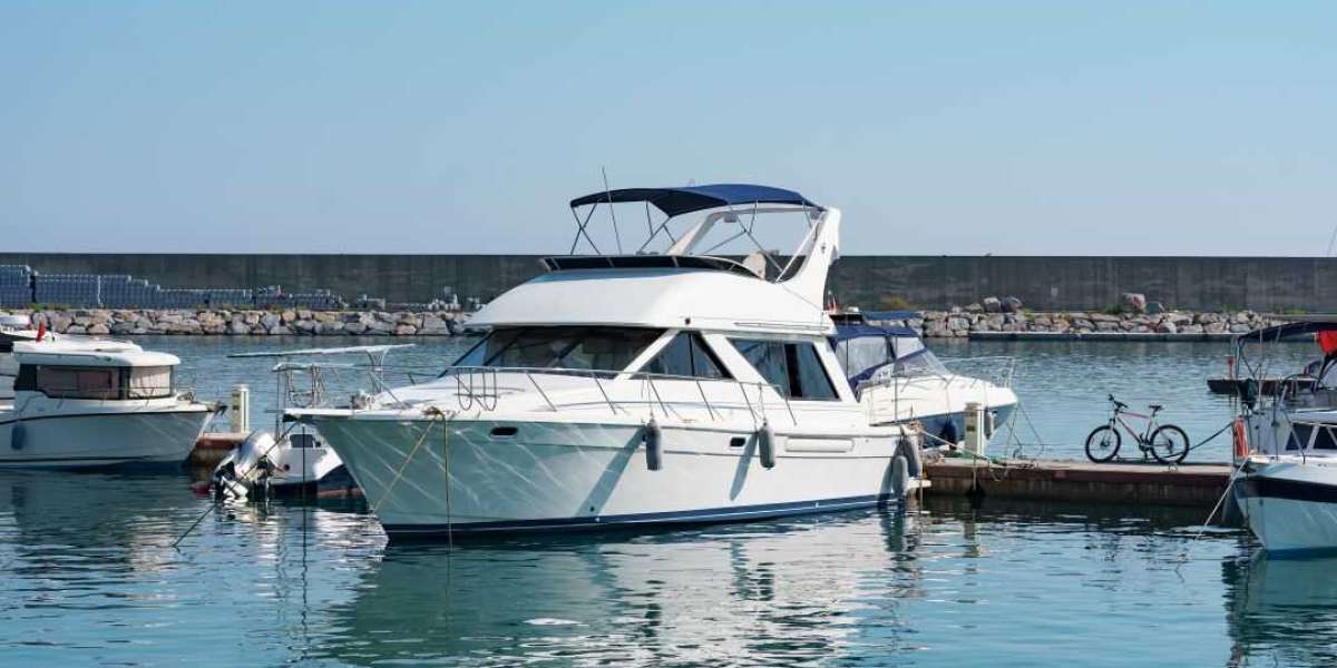 Why Self Drive Boat Hire Shark Bay Is Perfect for Families