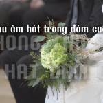PhòngThu NguyễnBáu