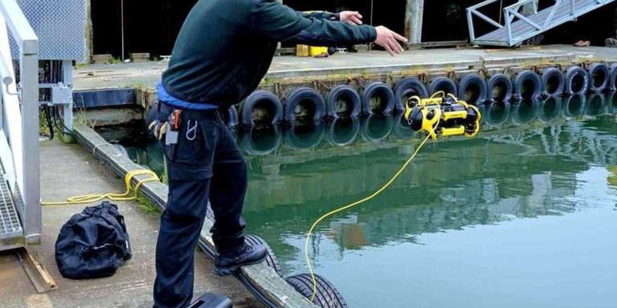 Comprehensive Guide to Seawall Inspection & Finding Trusted Seawall Contractors Near You