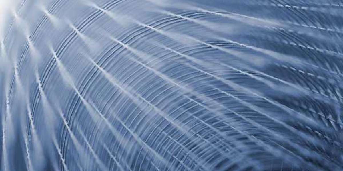 10 Lebensmittel, die das menschliche Wachstumshormon steigern