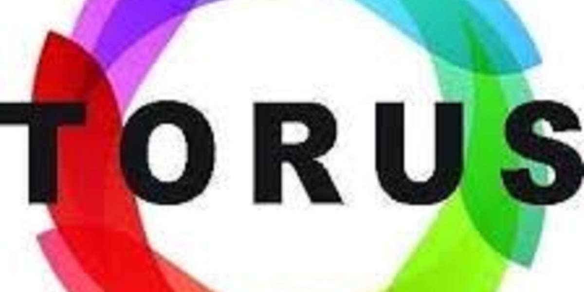Torus Solo