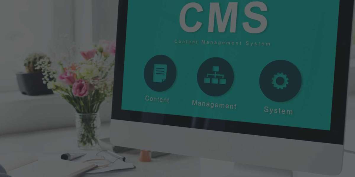 CMS Development