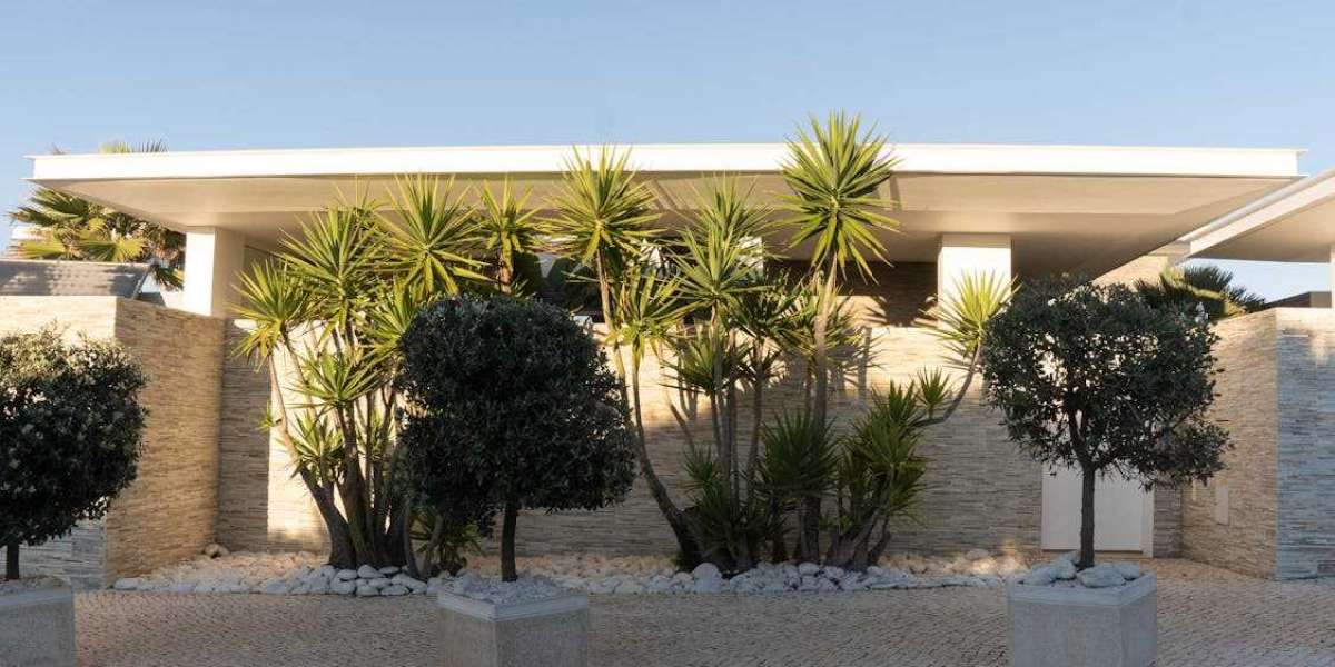 José Maurício Caldeira: Um Nome Ligado à Inovação e ao Espírito Empreendedor