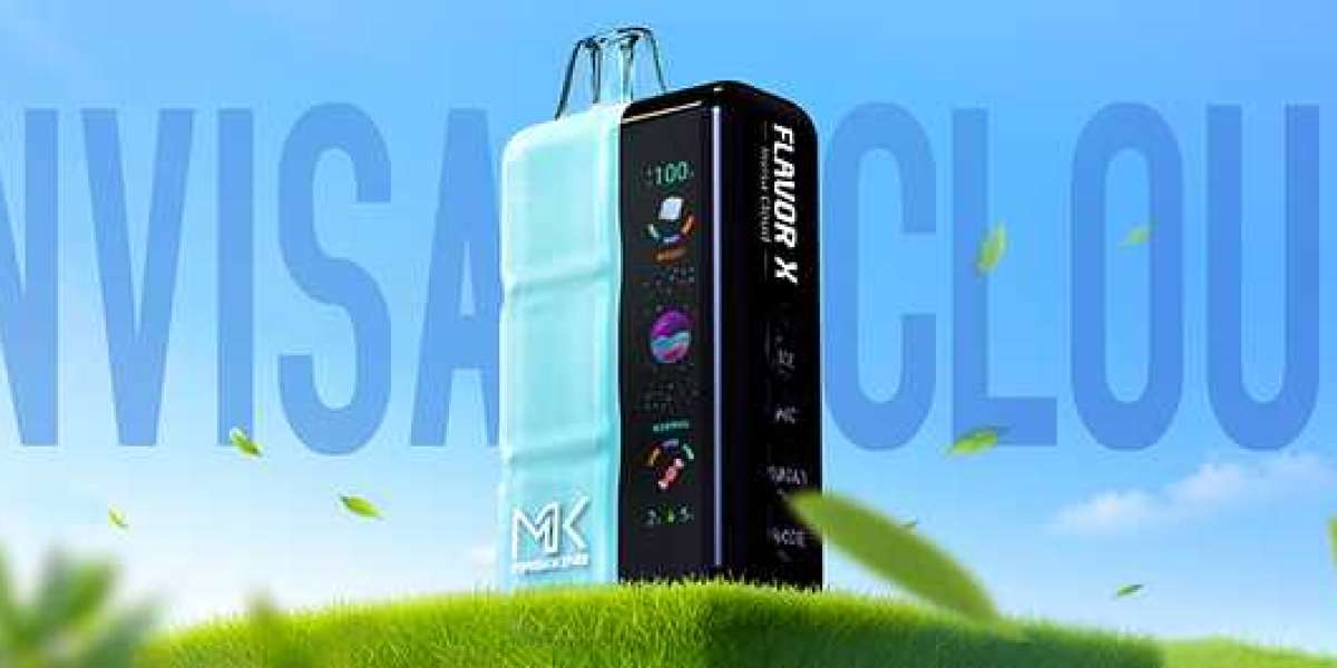 Maskking Flavor X Invisa Cloud Review: Smokeless, Adjustable, Powerful