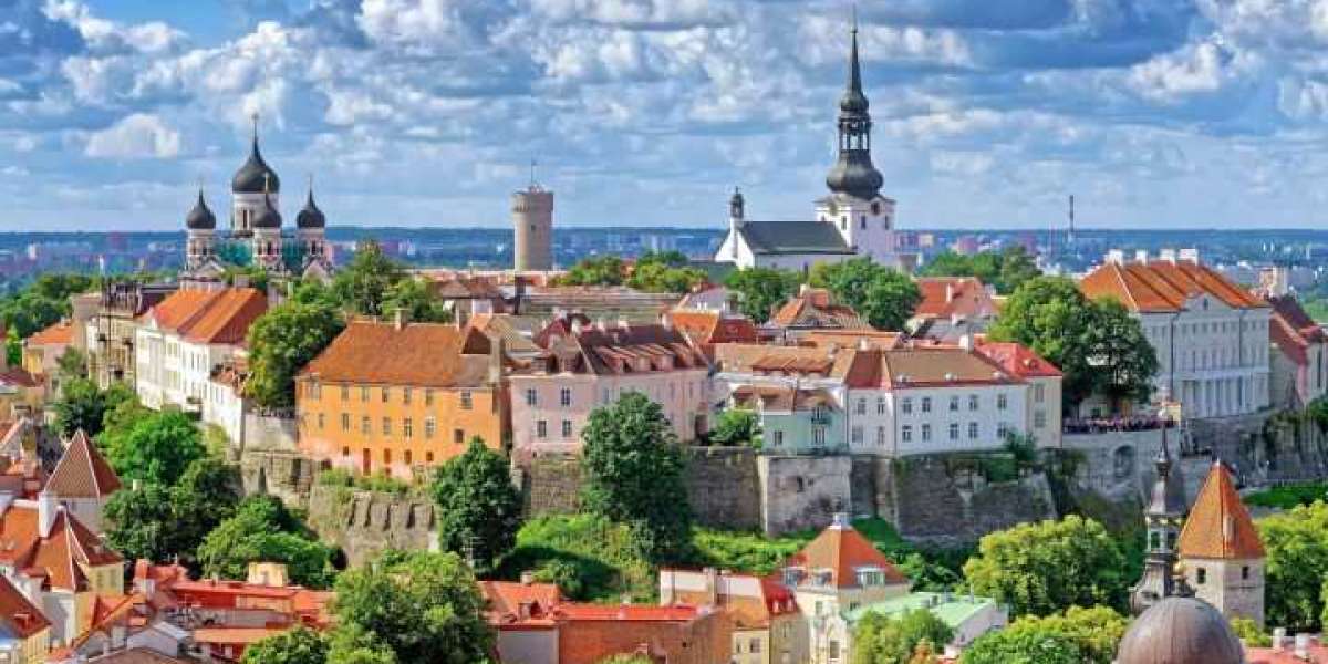 Was macht eine gelungene Studienreise für Schulen und Universitäten aus?