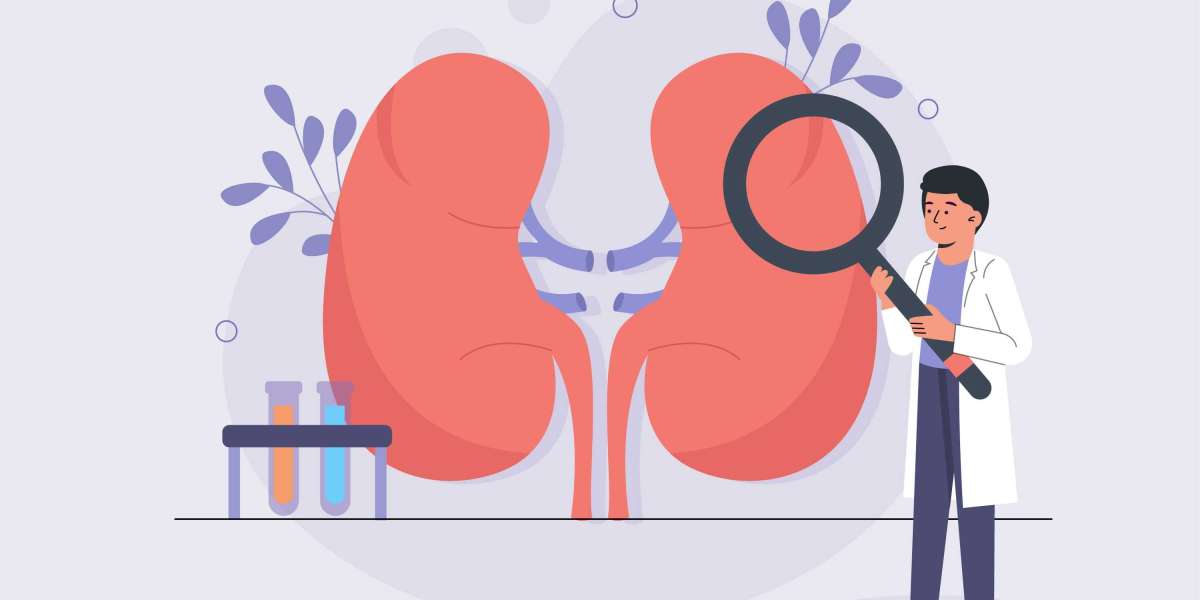 Advancing Kidney Transplant Rejection Therapies: Pathways to Better Outcomes