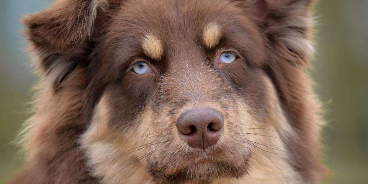 Marketing a development in Dubai goes beyond