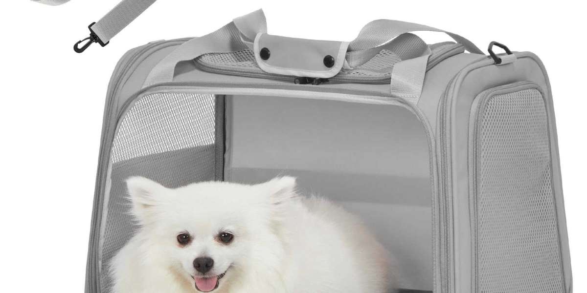 Comfort and Style with the puppy sling uk