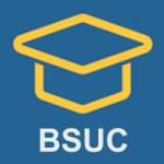 Ghế Ergonomic BSUC