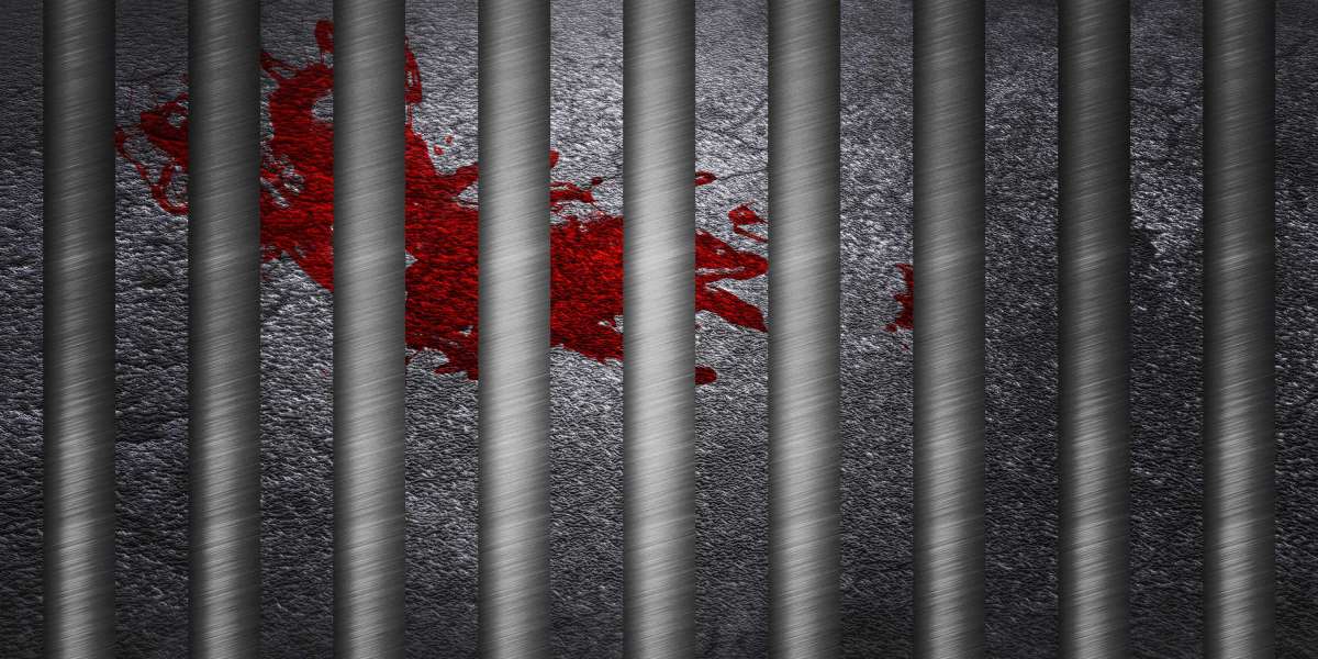 Shopping For Modafinil 200mg Online: A Complete Information