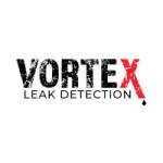 Vortex Leak Detection