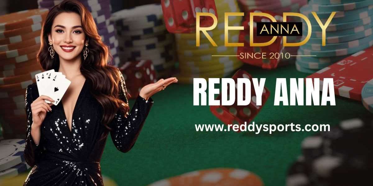 Reddy Anna ID Recovery: How to Retrieve Your Lost Account