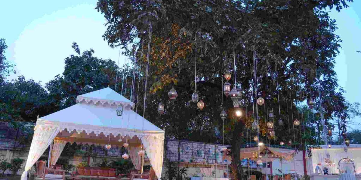 Elevate Your Celebrations with the Best Caterers in Delhi NCR – Creative Kitchen