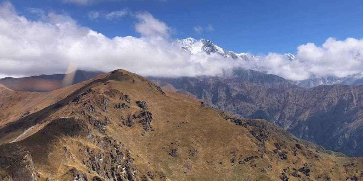 Best Trekking Organization in India: Himalaya Shelter